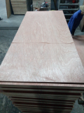 Sell_ Furniture plywood Bintangor face back with glue MR